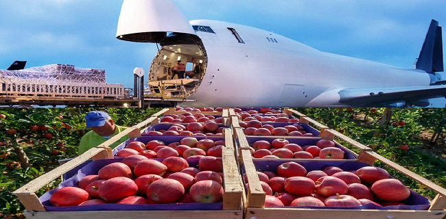 سیب های باقی مانده آذربایجان غربی هوایی صادر می شوند