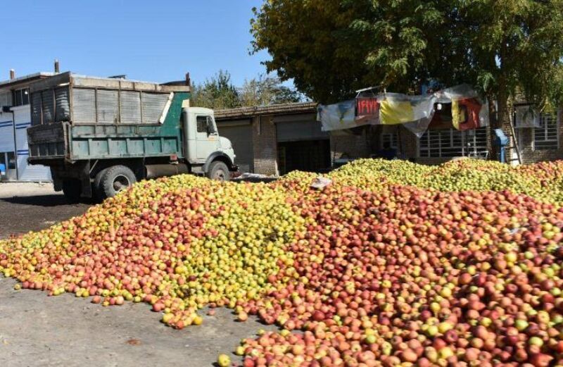 دلالان نقش اول معضل سیب صنعتی آذربایجان‌غربی